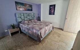 Aparta Estudio Completo - Ibagué - Parqueadero - Bambú
